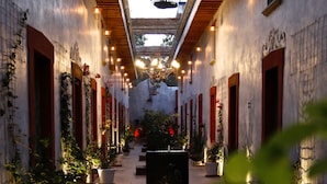 Un pasillo con plantas en macetas, una fuente y luces colgantes.