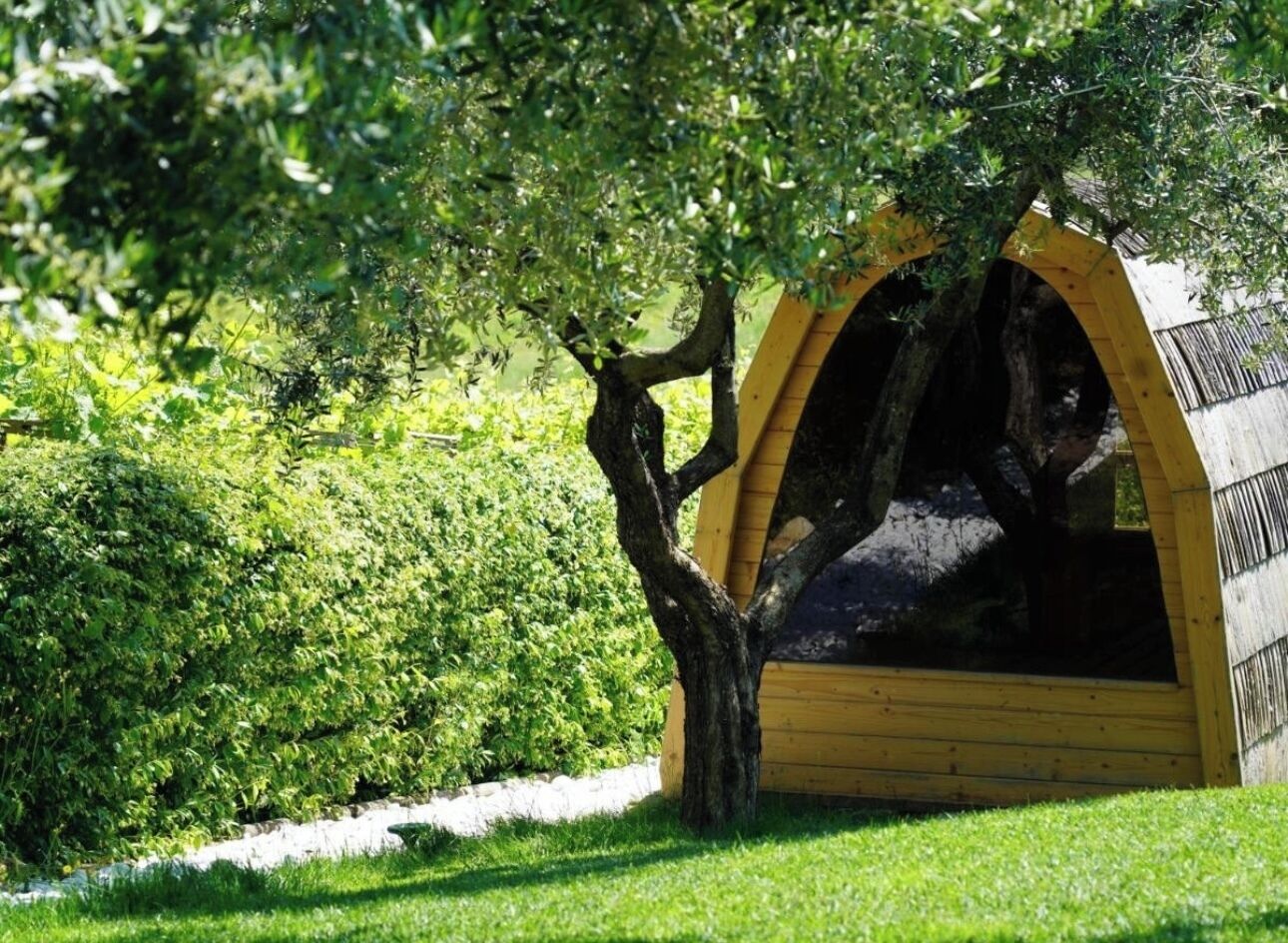 A tree in front of a yellow arched structure.