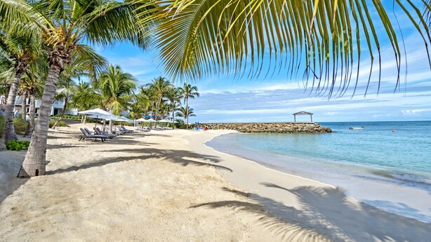 Une plage bordée de palmiers, avec des transats et un ciel d’un bleu limpide.