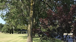 A well-maintained grassy area with a large tree and flower beds. - Dunlop Motel (Ashfield-Colborne-Wawanosh)