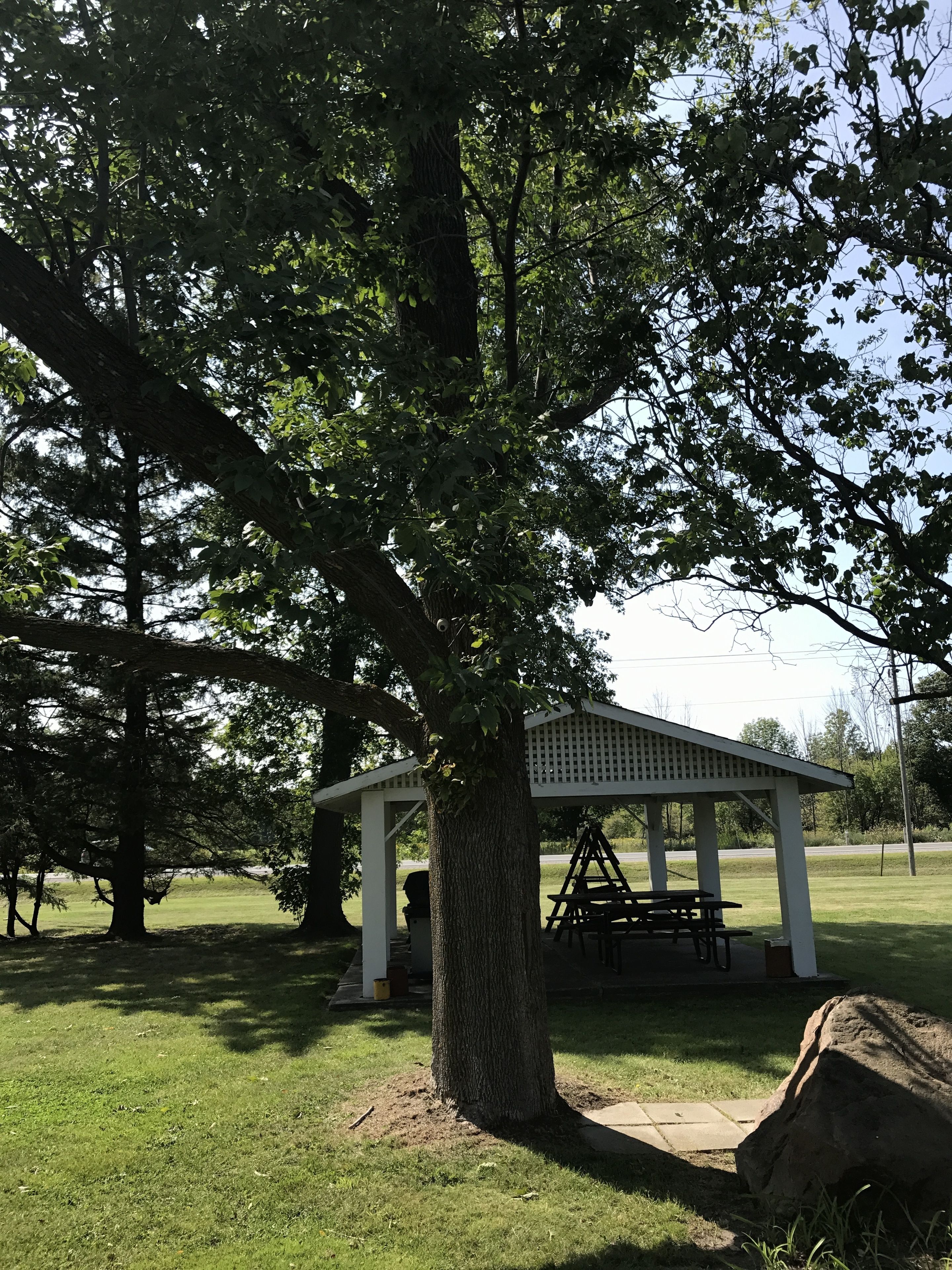 Un kiosque avec une table de pique-nique et une balançoire, situé dans un espace verdoyant et arboré.