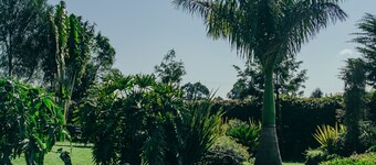 Sahara Gardens Bomet