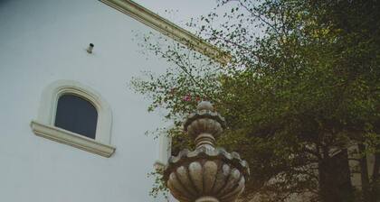 Hotel Cosmos Don Carlos