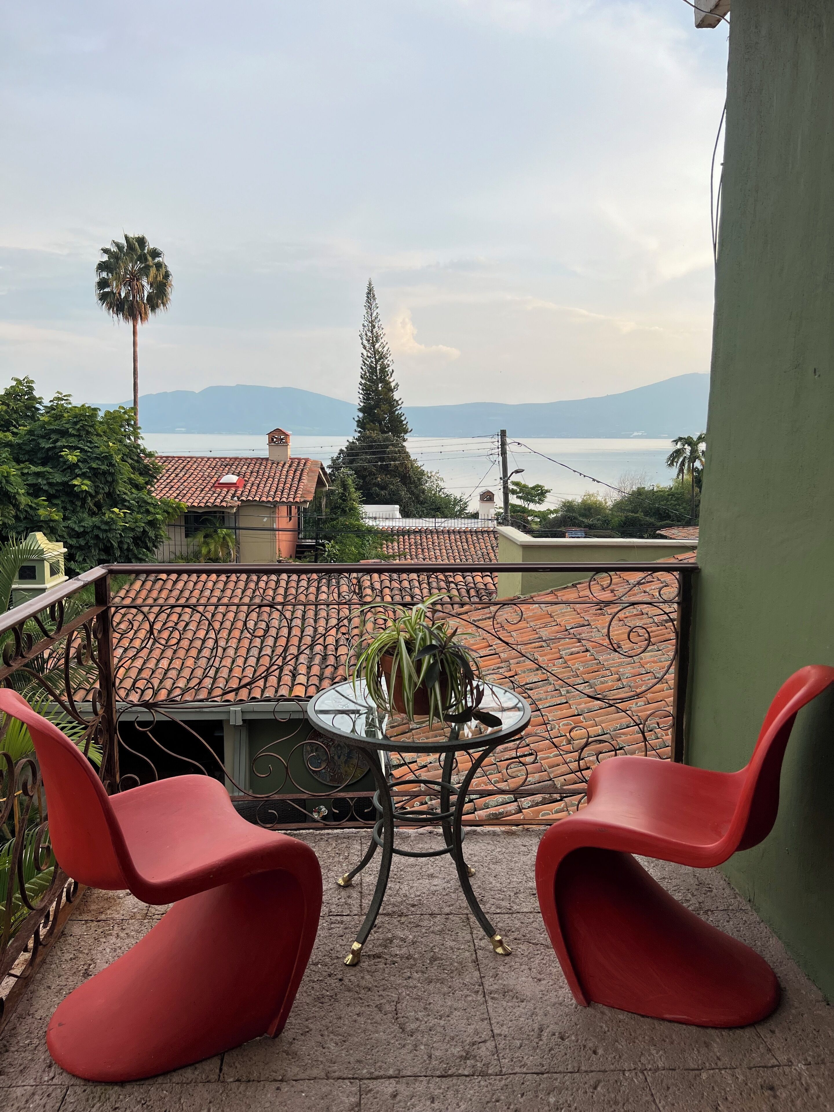 Suite Deluxe, 1 cama King size, hidromasaje | Terraza o patio