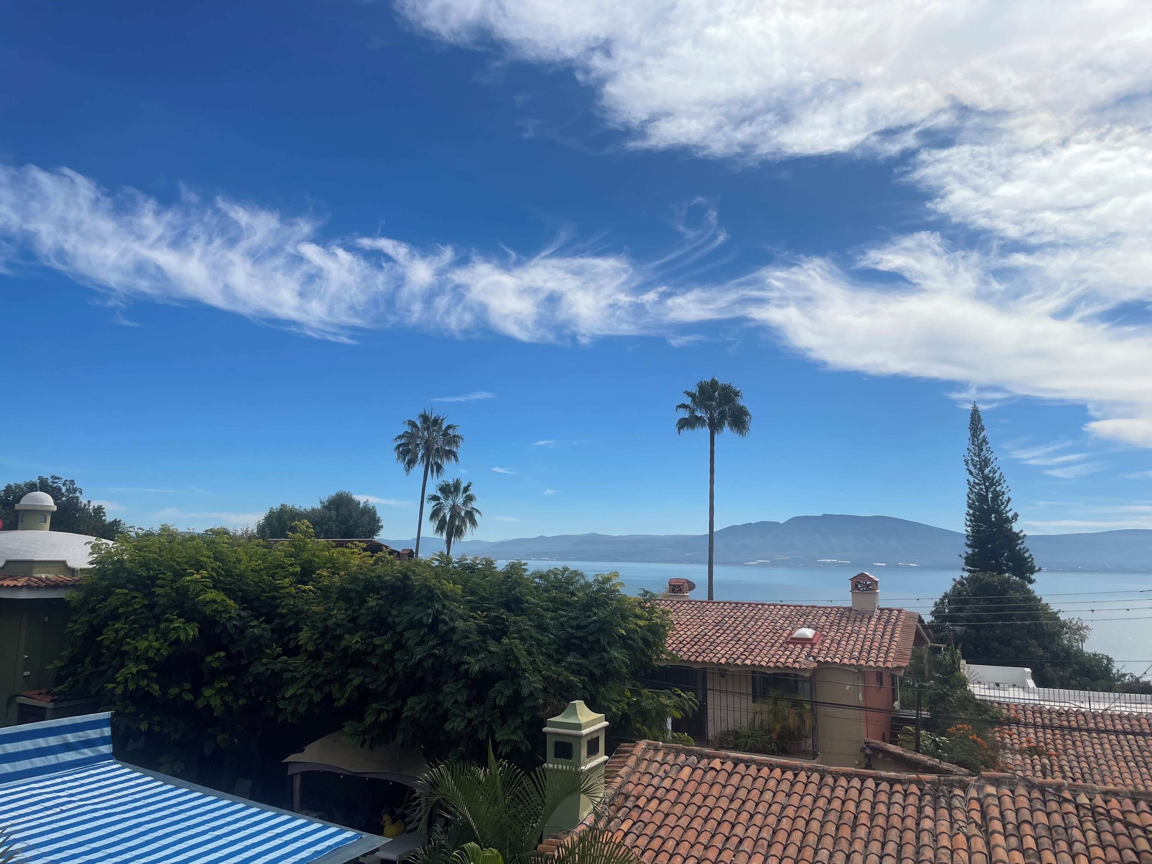 Un área residencial costera con techos de tejas de terracota, palmeras y una vista despejada del océano.