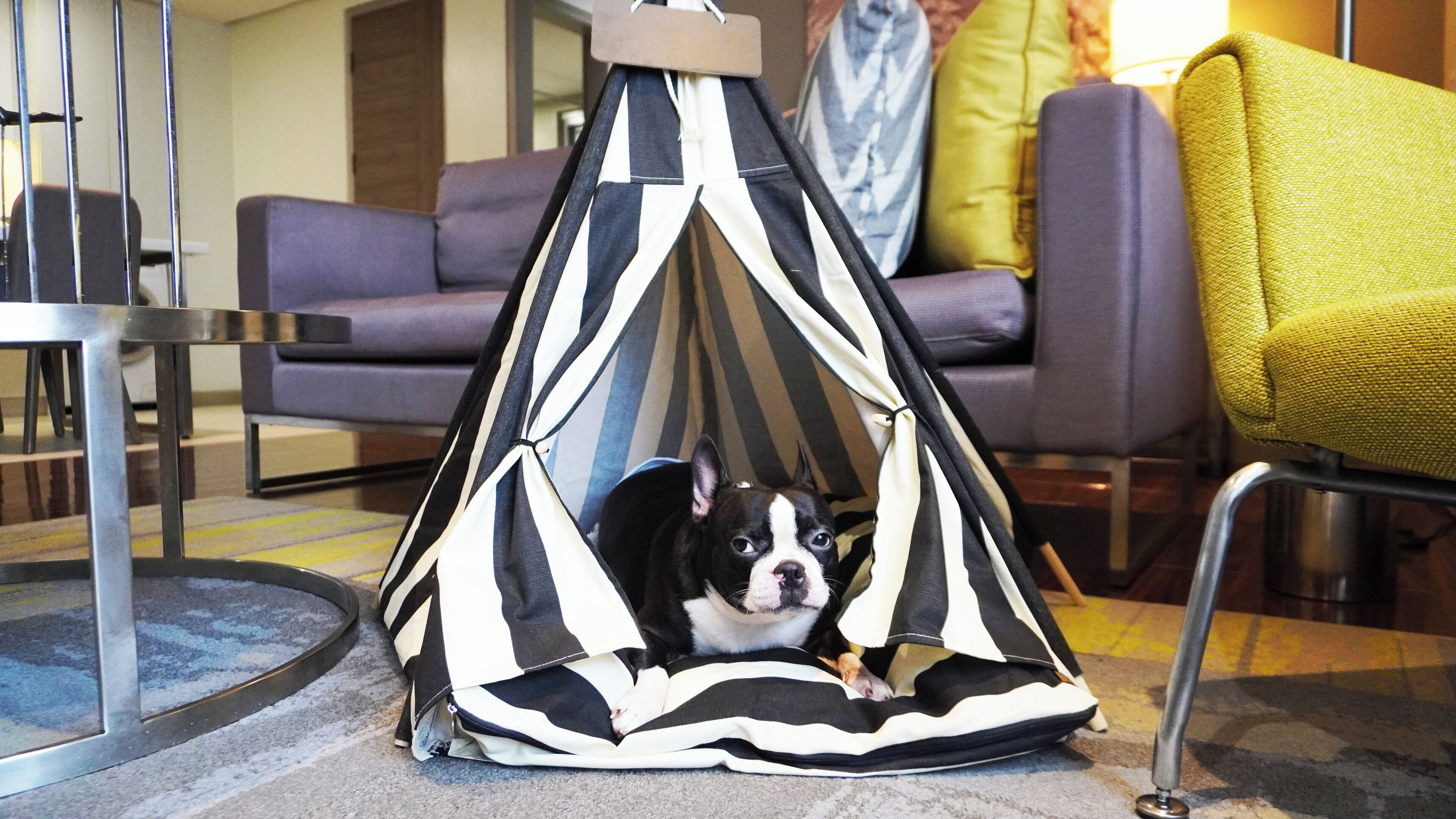 Foto - Citadines Millennium Ortigas Manila