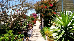 A narrow pathway flanked by various potted plants and trees, leading to a building with a white facade. - Gilcrest Place (Paternoster)