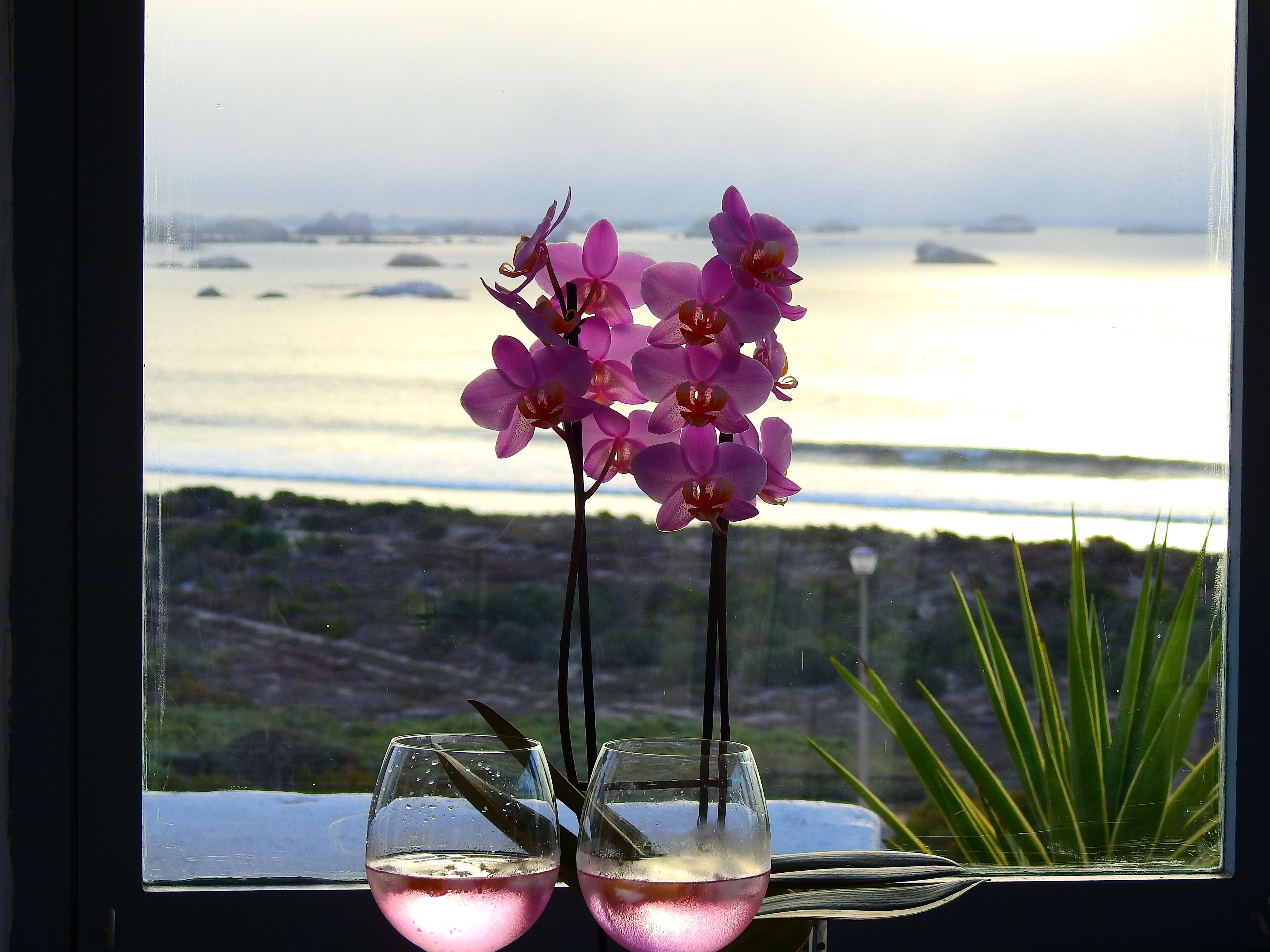 Een raam met uitzicht op zee, een tafel met twee wijnglazen en paarse orchideeën.