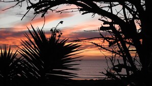 A sunset view with silhouettes of palm trees and branches against a colorful sky.