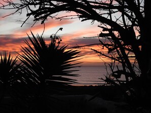 A sunset view with silhouettes of palm trees and branches against a colorful sky. - Gilcrest Place (Paternoster)