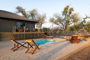 Outdoor pool, pool loungers - Antares Bush Camp & Safaris - Hostel (Phalaborwa)