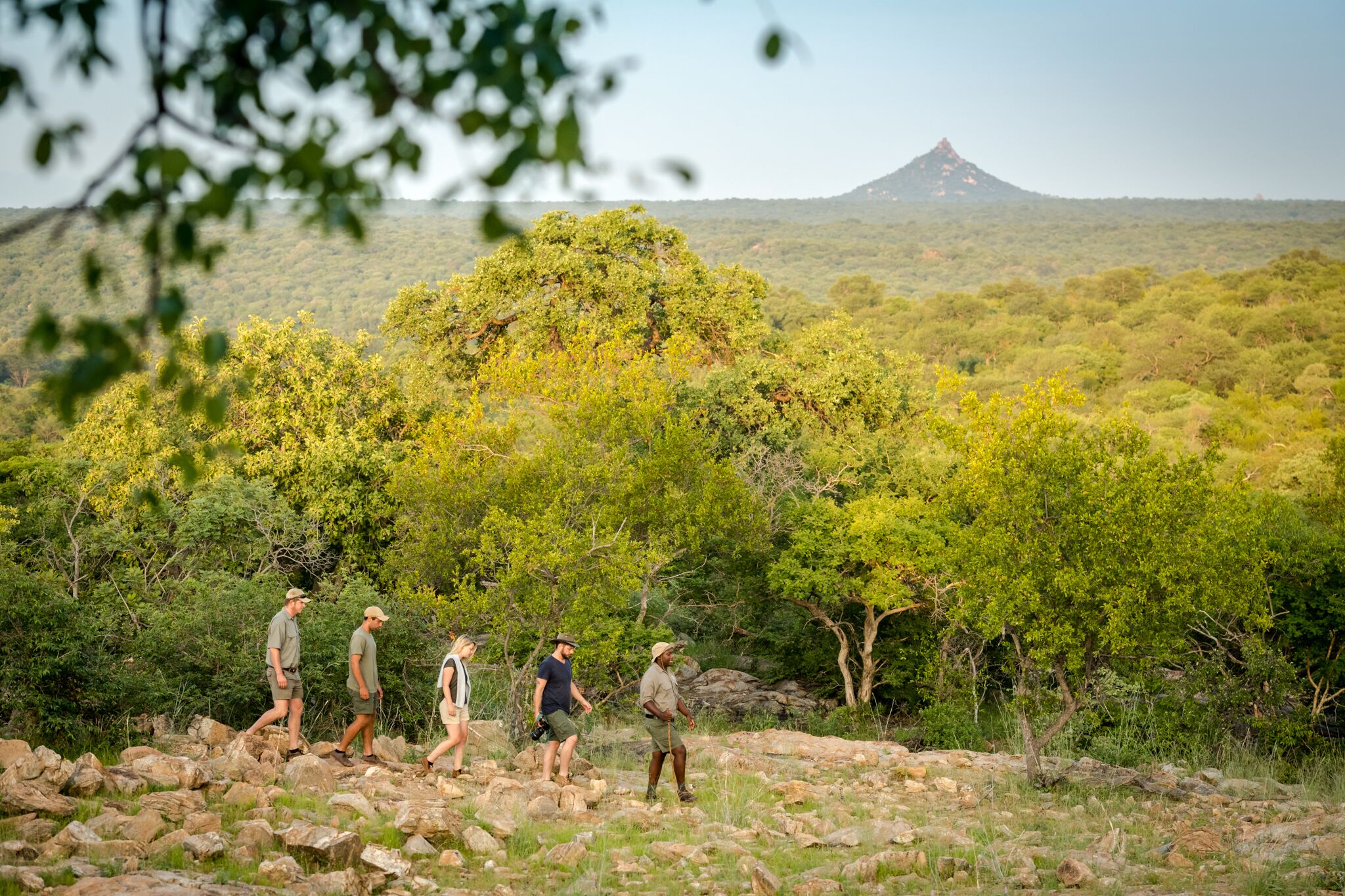 A group of people hiking on a rocky trail surrounded by dense green foliage and a mountain in the background.
