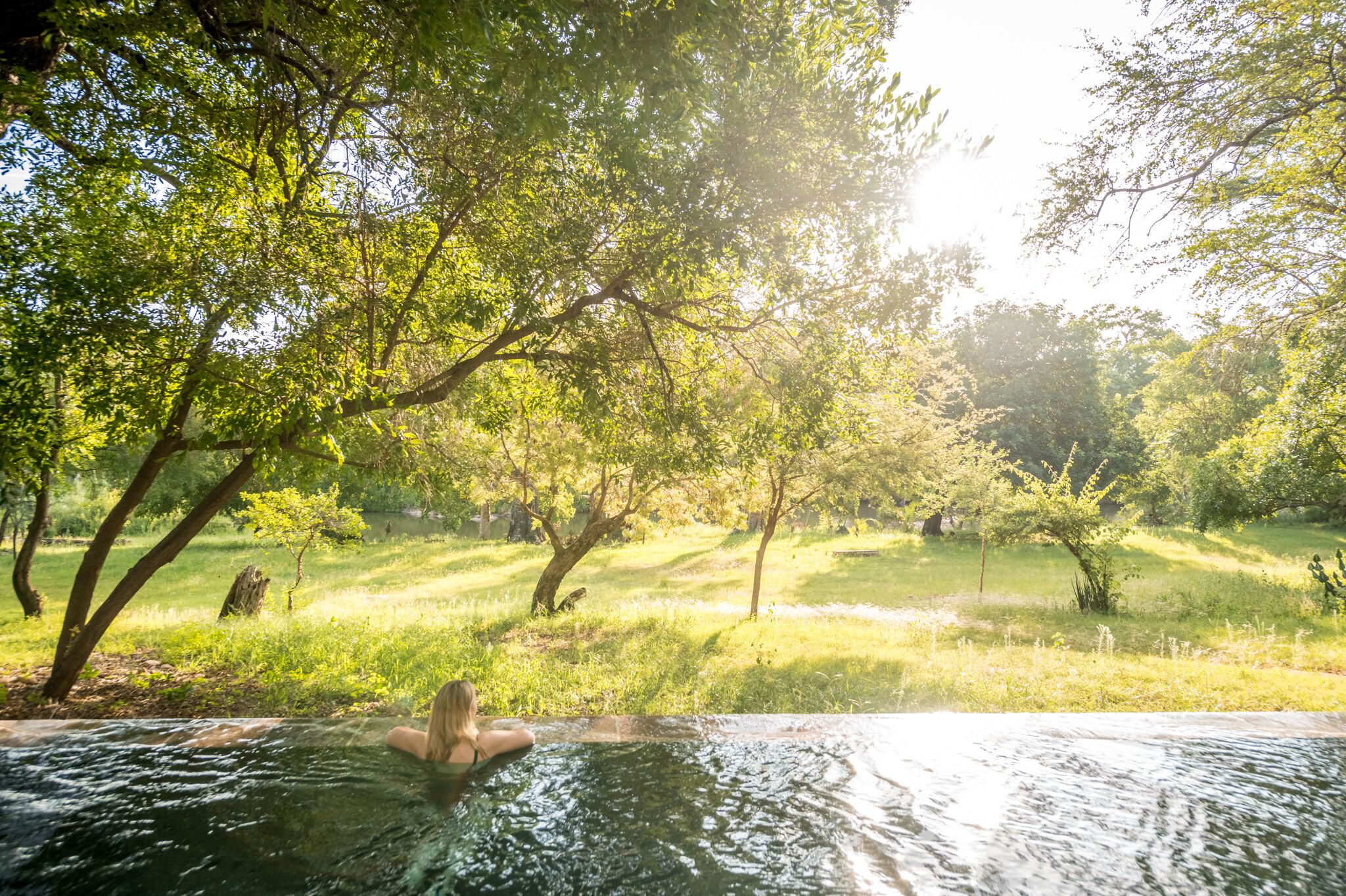 A person in a hot tub surrounded by lush greenery and trees.