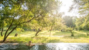 A person in a hot tub surrounded by lush greenery and trees.