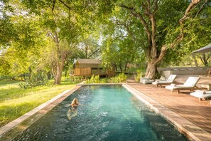 Una piscina con muelle de madera, sillas de descanso y un edificio con techo verde.