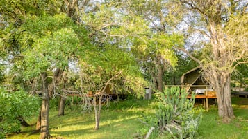 Matumi Tent | View from room