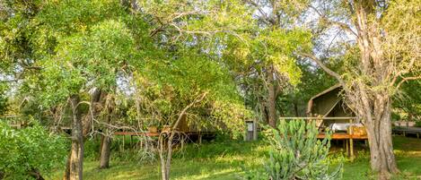 Una casa del árbol rústica con terraza de madera, rodeada de abundante vegetación y árboles.
