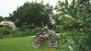 Ein rotes Fahrrad steht auf einer grünen Rasenfläche, im Hintergrund ein Haus.