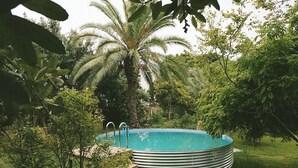 Ein kreisförmiger Pool, umgeben von üppiger Vegetation und einer Palme.