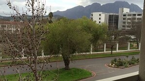 A view of a road with a tree and a building in the background. - Stell On Air (Stellenbosch)