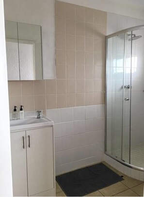 Luxe appartement, 2 slaapkamers | Badkamer | Een douche, een haardroger, handdoeken