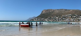 Sunny Cove Manor