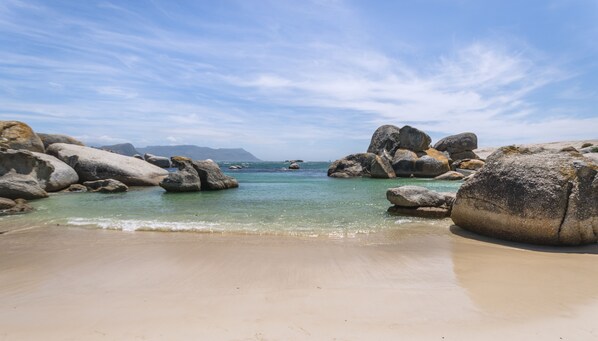 View from property - Boulders Beach Hotel, Cafe and Curio (Cape Town)