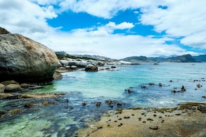 Beach/ocean view - Boulders Beach Hotel, Cafe and Curio (Cape Town)