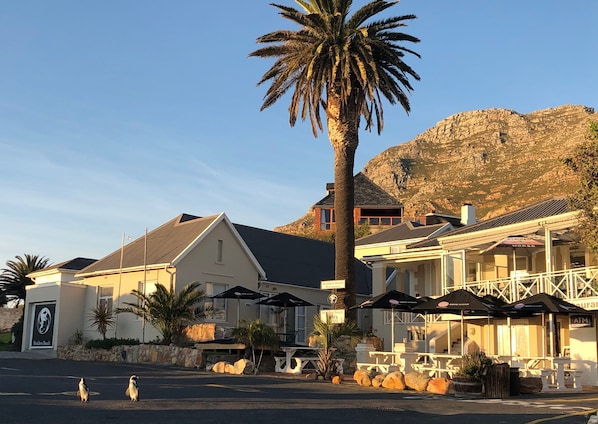 Front of property - Boulders Beach Hotel, Cafe and Curio (Cape Town)
