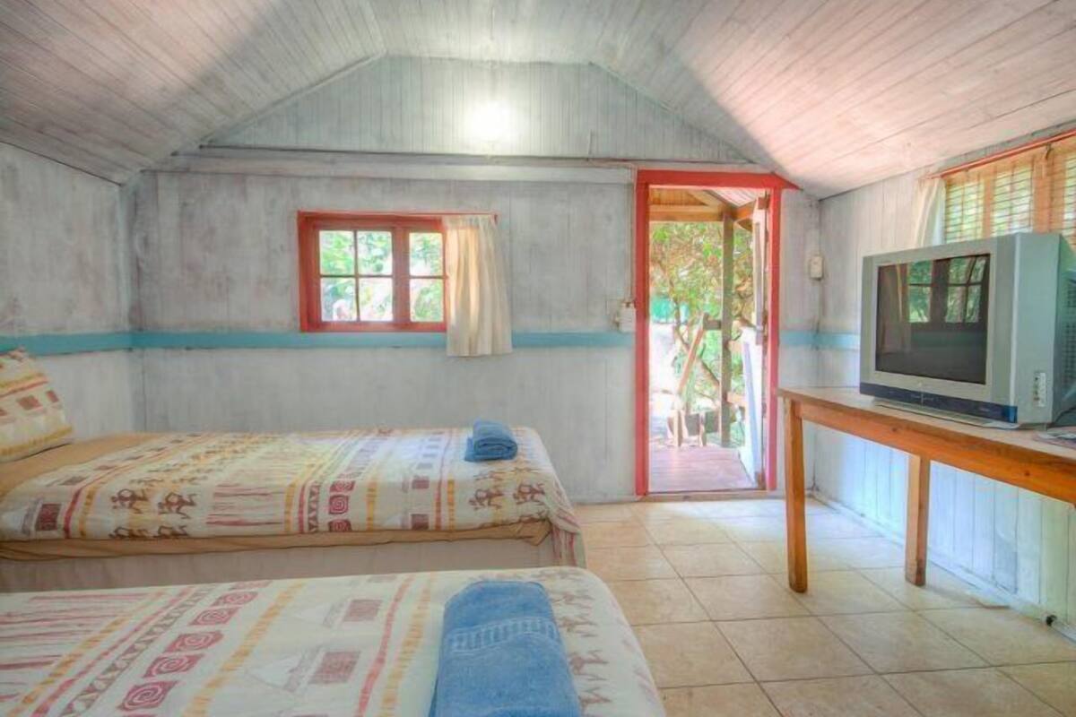 A room with two beds, a television on a wooden table, and a window with curtains.