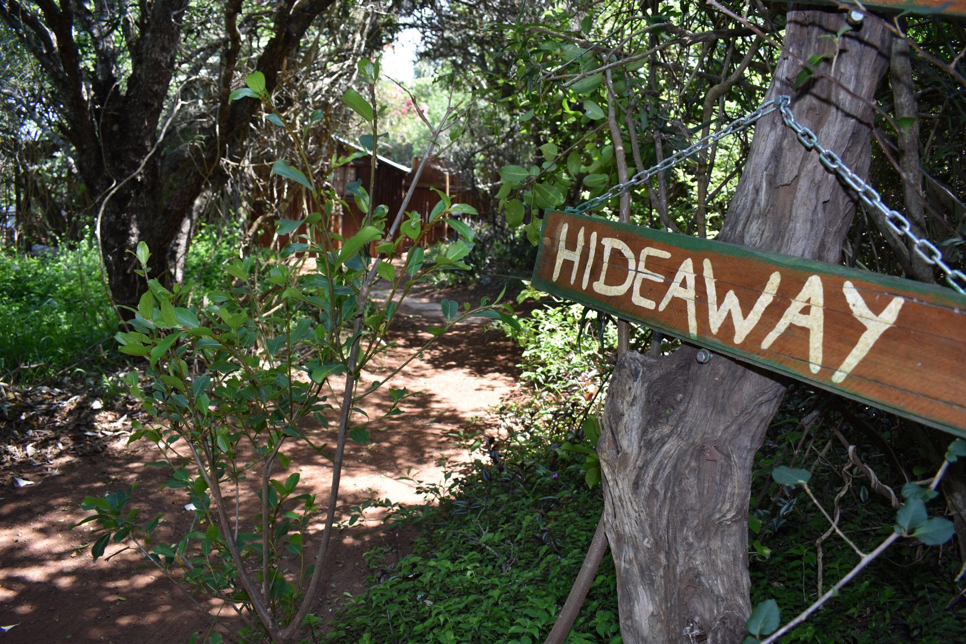 A wooden sign with the word 'HIDEAWAY' attached to a chain-link fence, surrounded by greenery and trees.