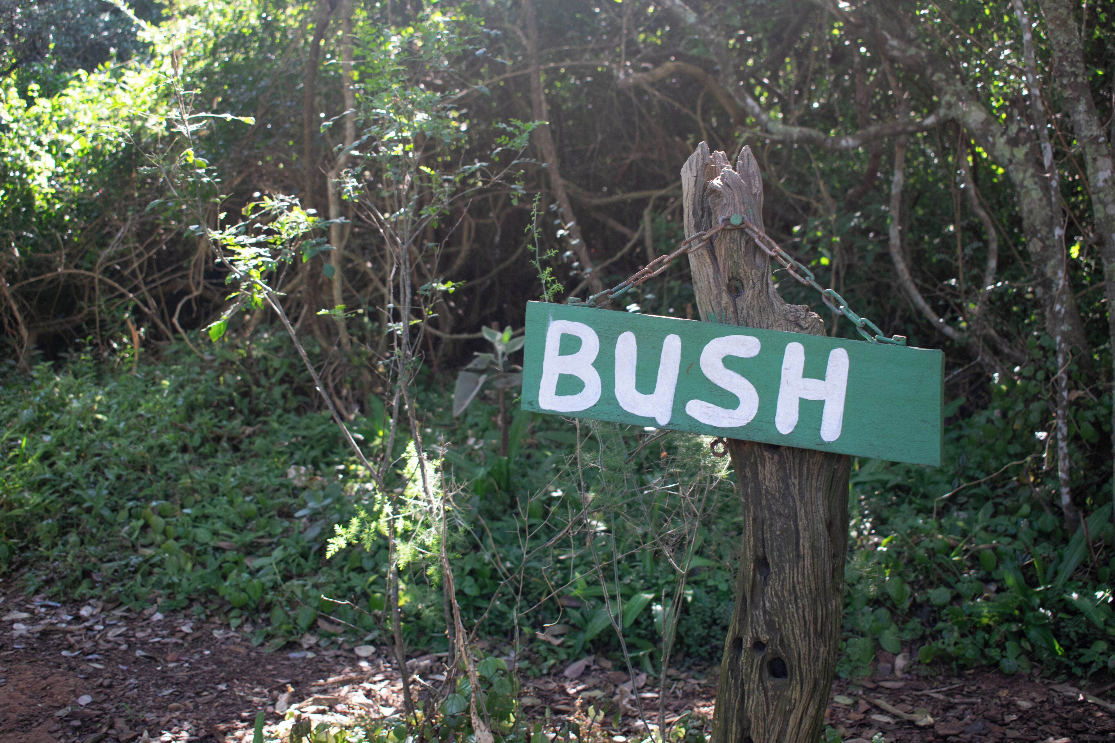 Un poteau en bois sur lequel est fixée une plaque verte portant l’inscription « BUSH » en lettres blanches.
