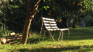 Garden - Ten Stirling B&B (Johannesburg)