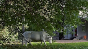 Property grounds - Ten Stirling B&B (Johannesburg)