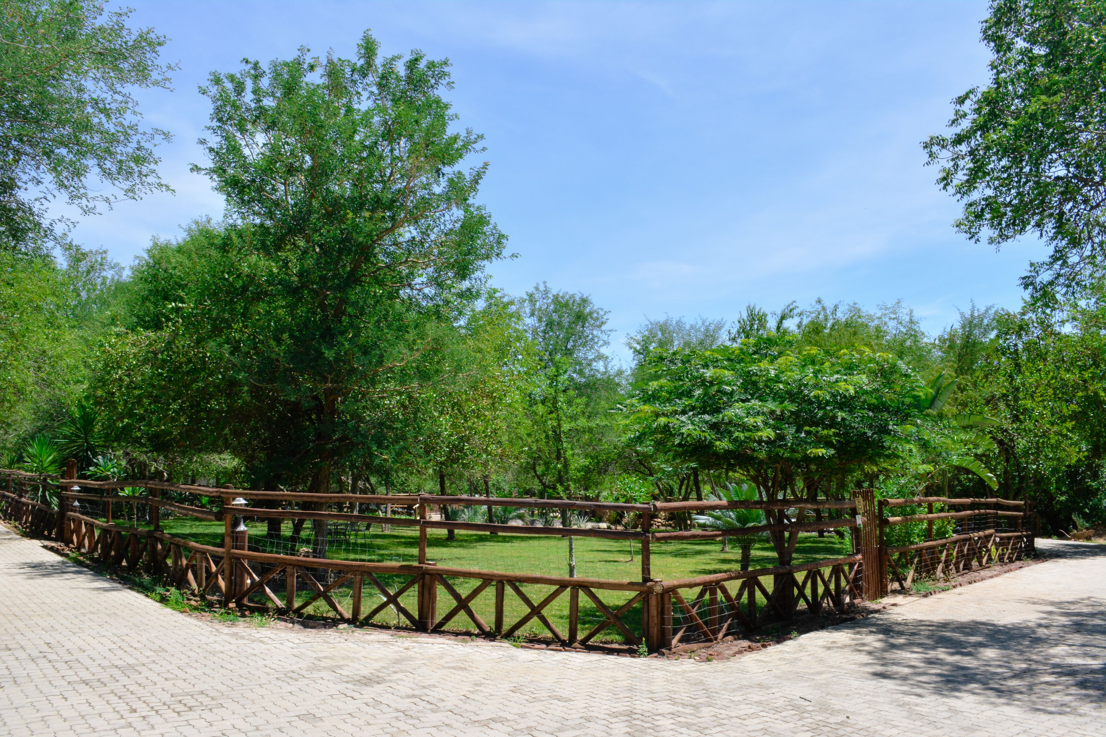 A paved pathway with a wooden fence and trees in the background.