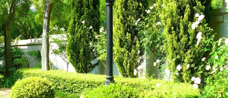 A well-maintained garden with a variety of trees, neatly trimmed bushes, and a central lamp post.
