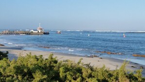 Et kystlandskab med en mole, der strækker sig ud i havet, en sandstrand og frodig vegetation i forgrunden.