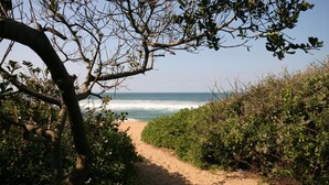 Ein sandiger Pfad, der zum Meer führt, umgeben von dichtem Grün.