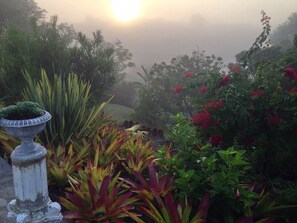 Garden - theSolution BnB (East London)