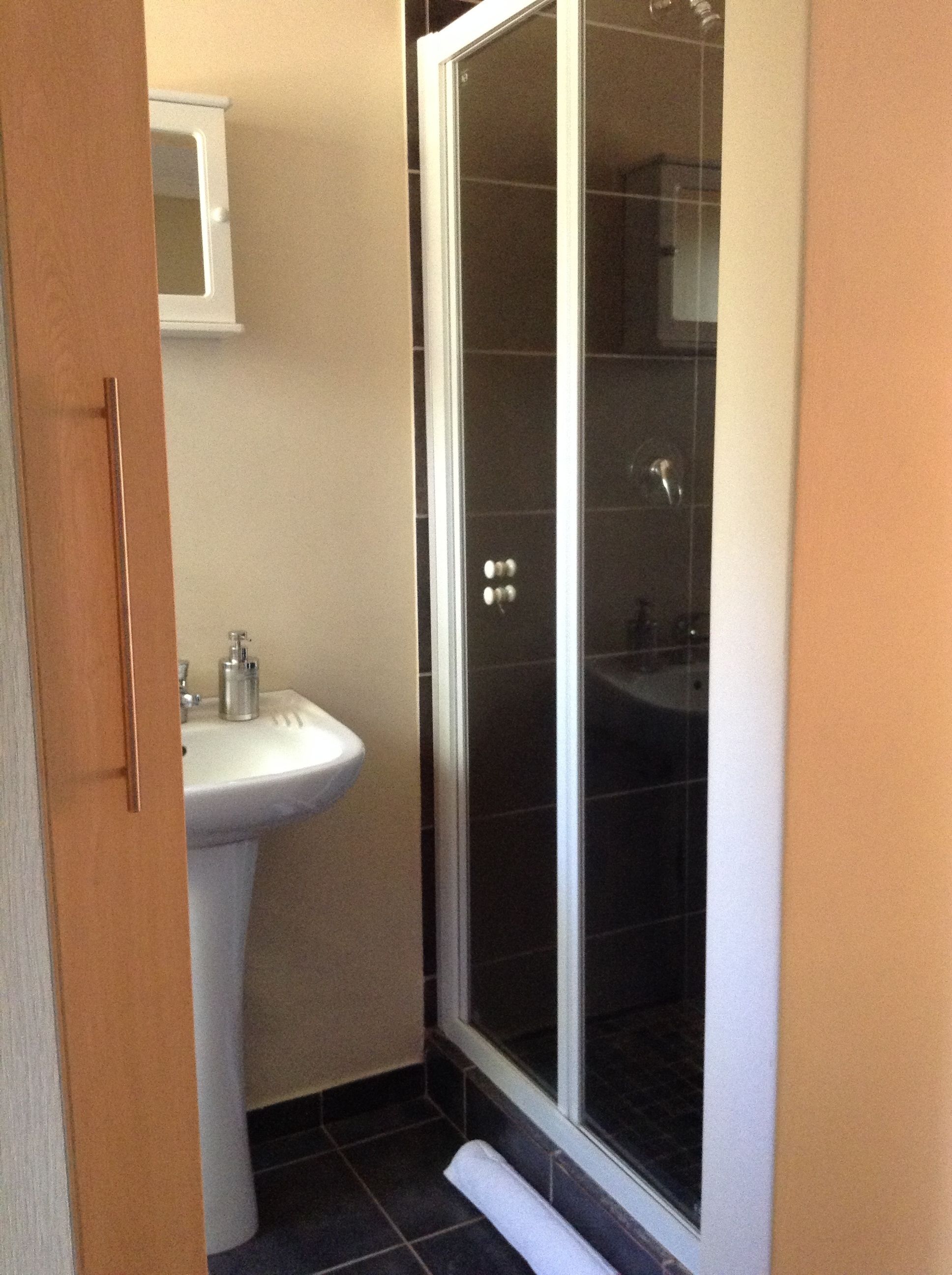 Une salle de bain avec un lavabo sur colonne blanc, une cabine de douche en verre et un rouleau de papier toilette visible.