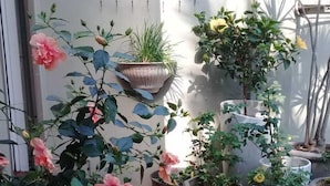 A courtyard with potted plants and a decorative metal gate. - Beechwood B&B (Durban)