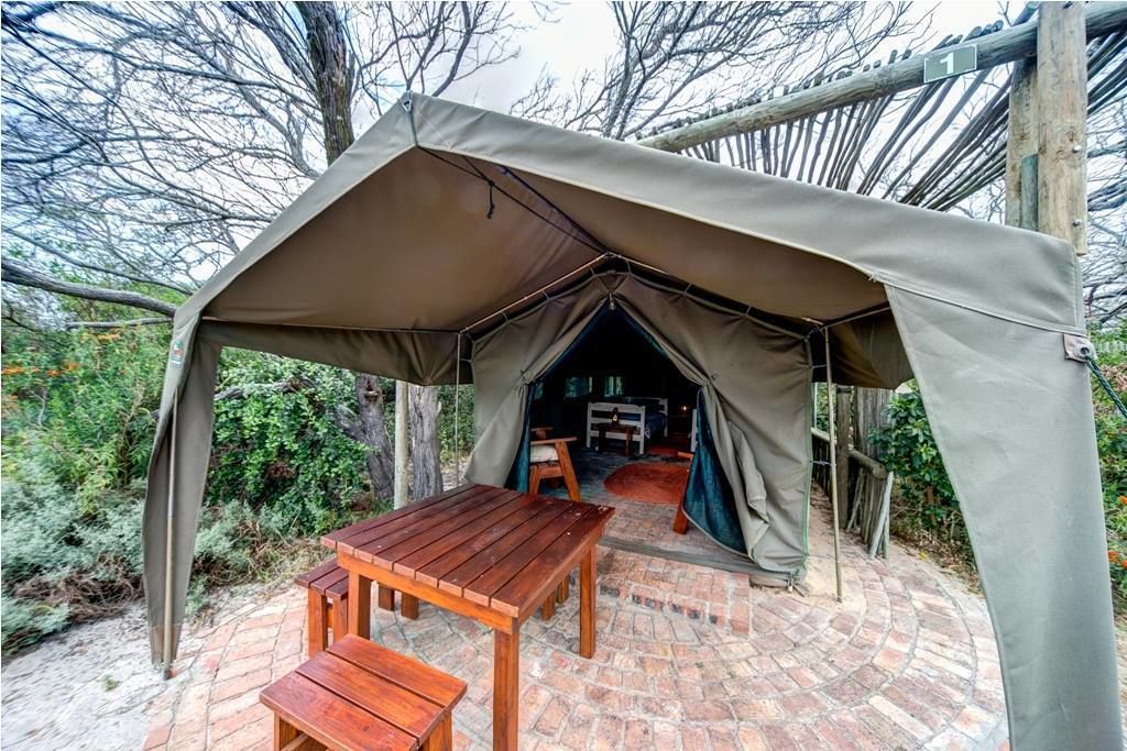 A tent with a table and chairs outside, surrounded by a brick patio and trees.