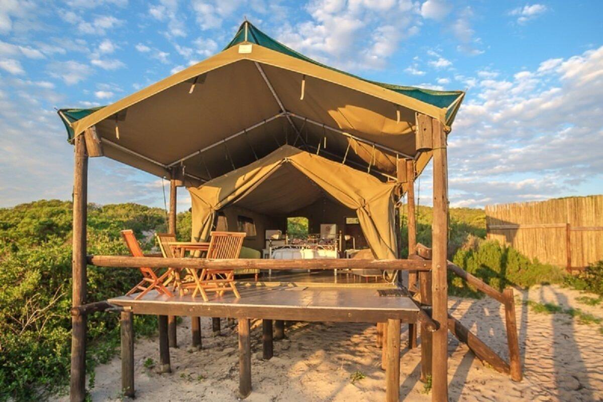 A tented structure with a table and chairs, set on a sandy beach with vegetation in the background.
