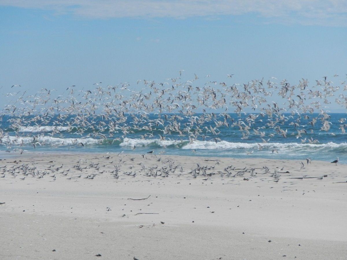 A beach with sand and waves.
