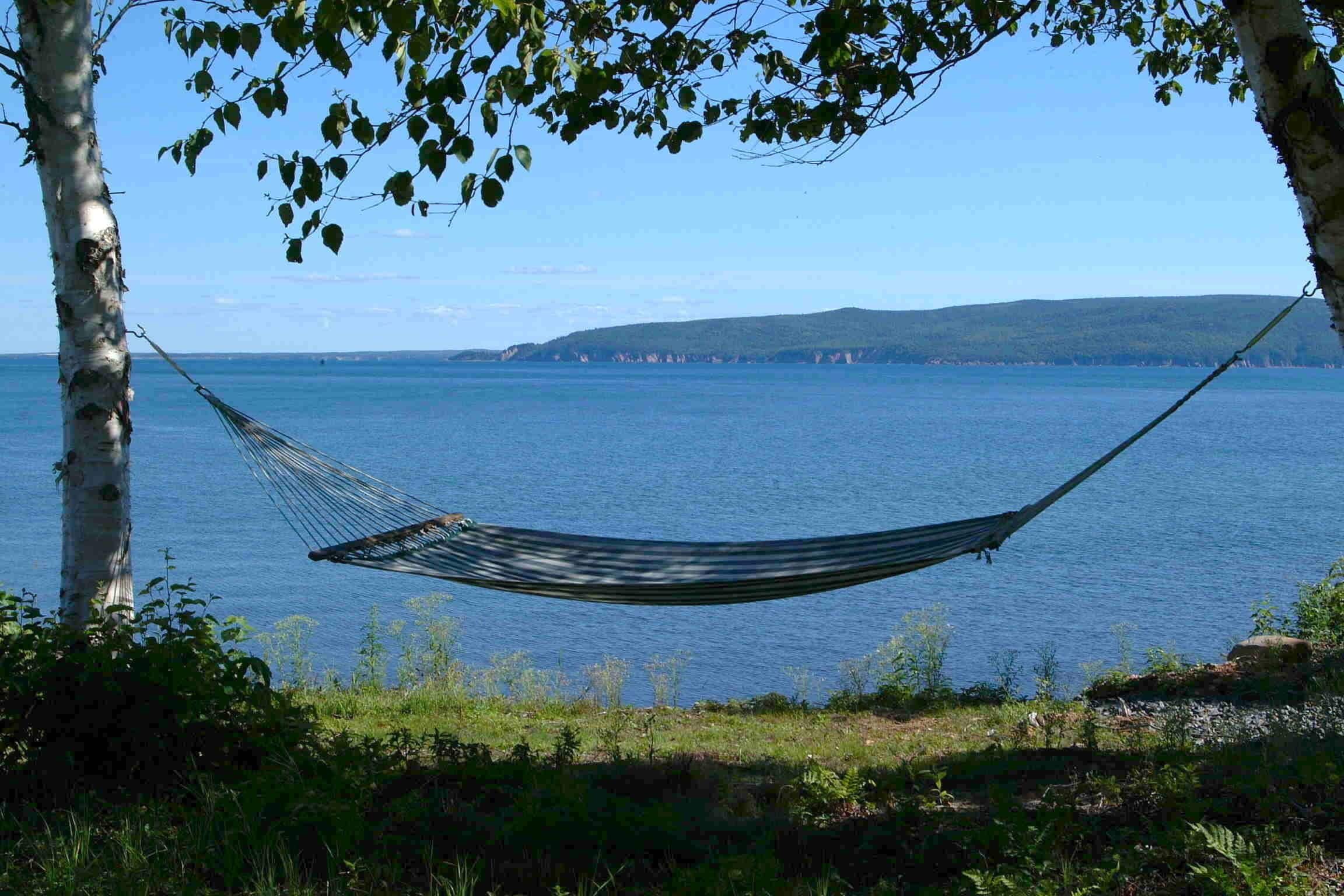 A hammock tied between two trees overlooking a body of water with distant landforms.