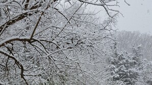 Ett träräcke med snö som har samlats på det.