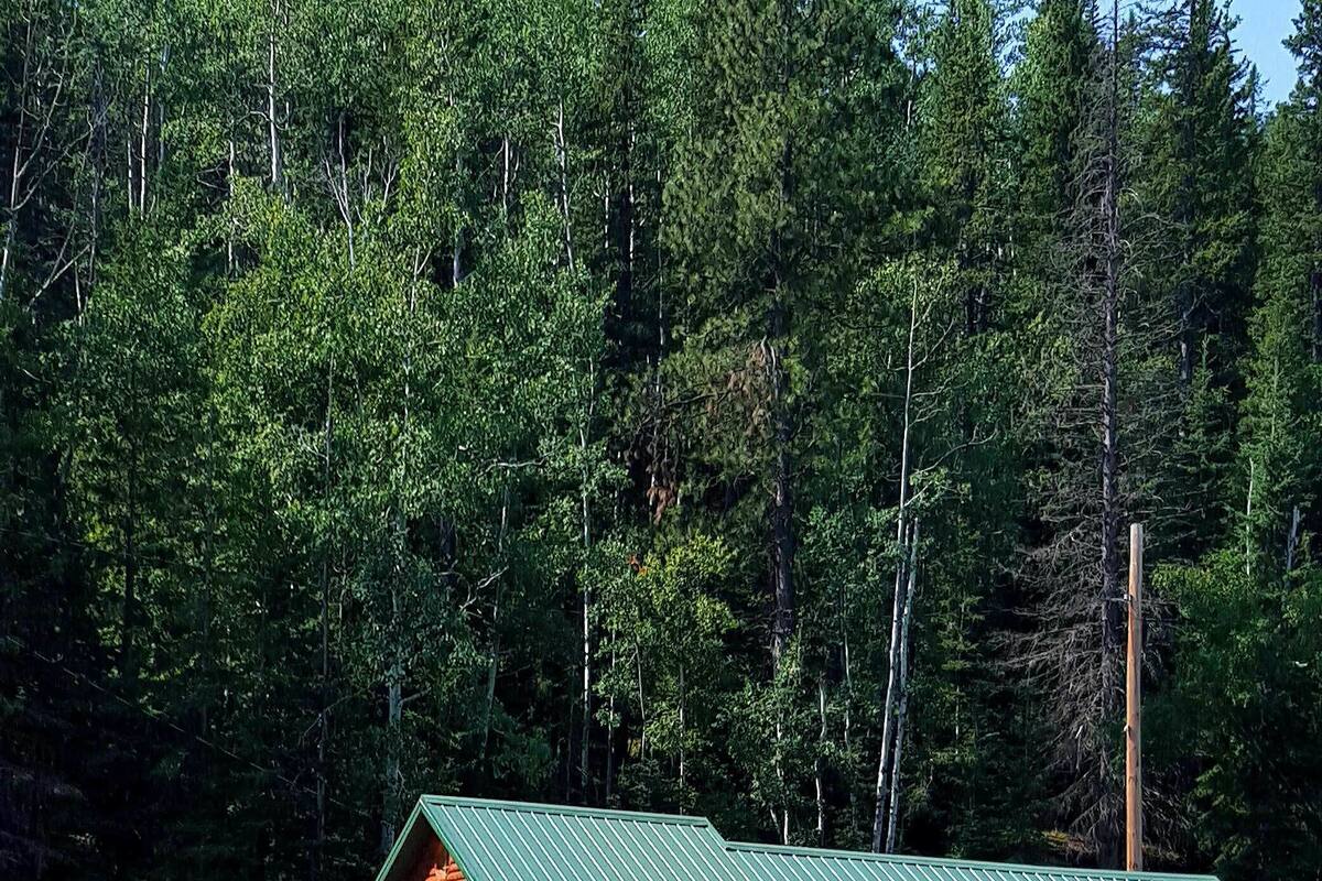A cabin with a green roof, wooden exterior, and a porch with chairs.
