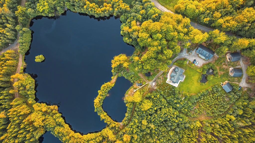 An aerial view of a lakeside property with a main house, a guest house, and a dock.