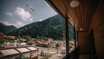 Vista a la montaña