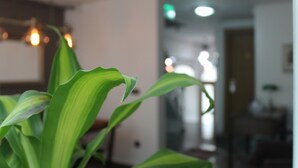 A room with a plant in the foreground and a doorway leading to another room. - Xenia Hotel (Istanbul)